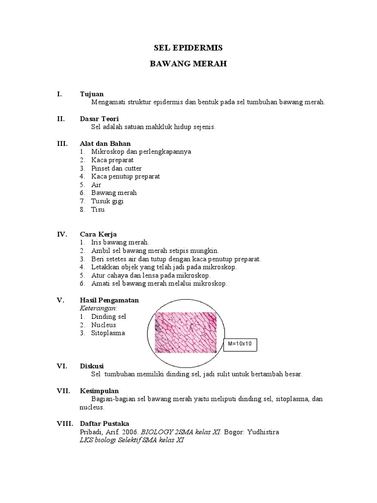 Detail Gambar Sel Epidermis Bawang Merah Nomer 35