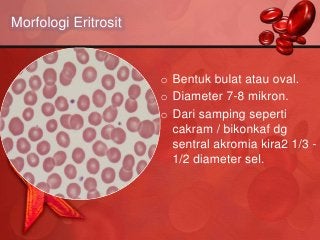 Detail Gambar Sel Eritrosit Nomer 26