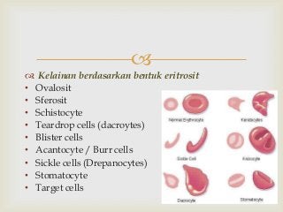 Detail Gambar Sel Eritrosit Nomer 34