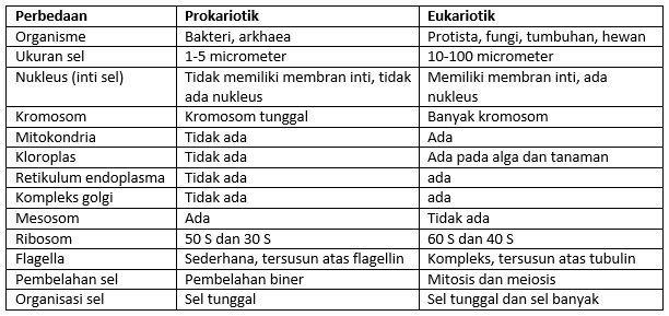 Detail Gambar Sel Eukariotik Dan Prokariotik Nomer 38