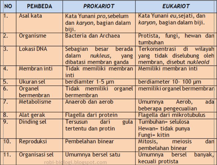 Download Gambar Sel Eukariotik Dan Prokariotik Lengkap Nomer 21