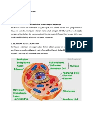 Detail Gambar Sel Hewan Dan Keteranganya Nomer 16