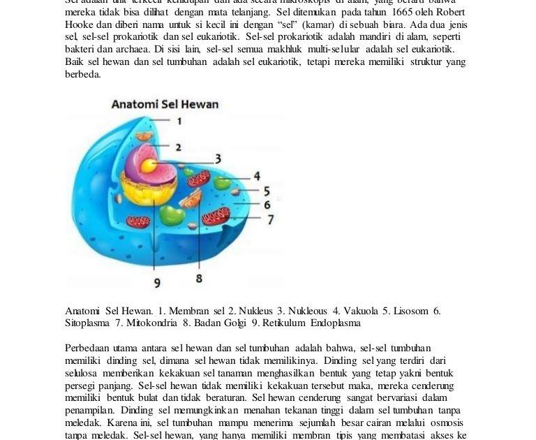 Detail Gambar Sel Hewan Dan Penjelasannya Nomer 32