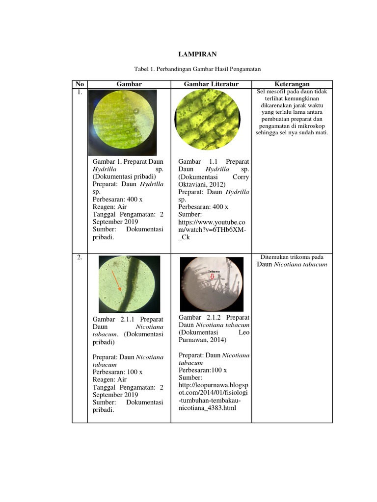 Detail Gambar Sel Hydrilla Nomer 29