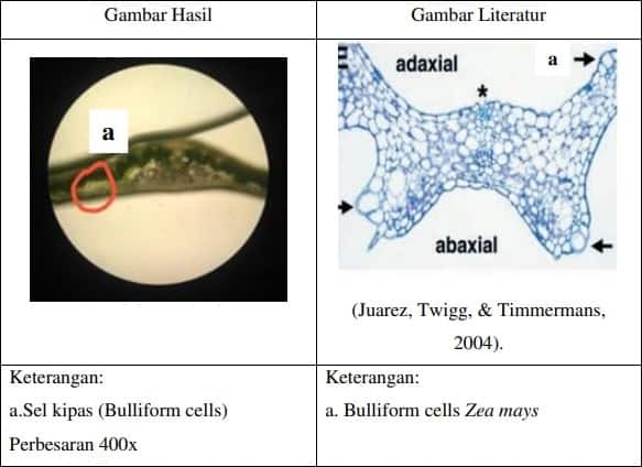 Detail Gambar Sel Kipas Nomer 9