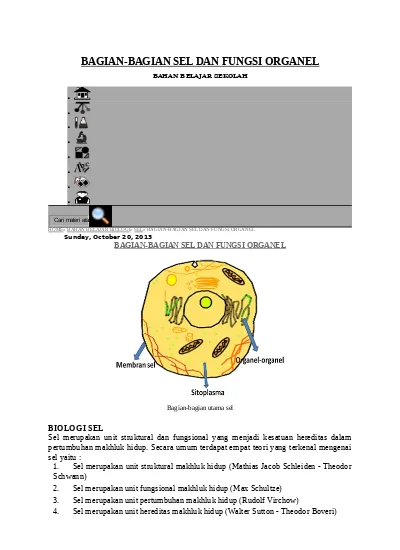 Detail Gambar Sel Pada Bawang Merah Nomer 18