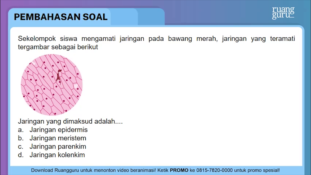 Detail Gambar Sel Pada Bawang Merah Nomer 41