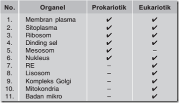 Detail Gambar Sel Prokariotik Dan Eukariotik Kingdom Hewan Nomer 39