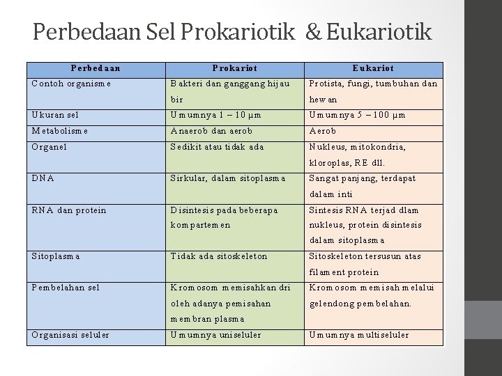 Detail Gambar Sel Prokariotik Dan Eukariotik Kingdom Hewan Nomer 47