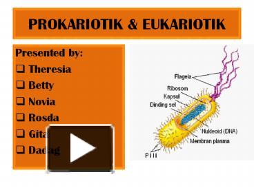 Detail Gambar Sel Prokariotik Dan Eukariotik Sel Prokariotik Nomer 38