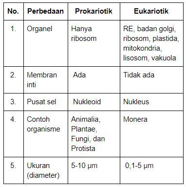 Detail Gambar Sel Prokariotik Dan Eukariotik Sel Prokariotik Dan Eukariotik Nomer 46