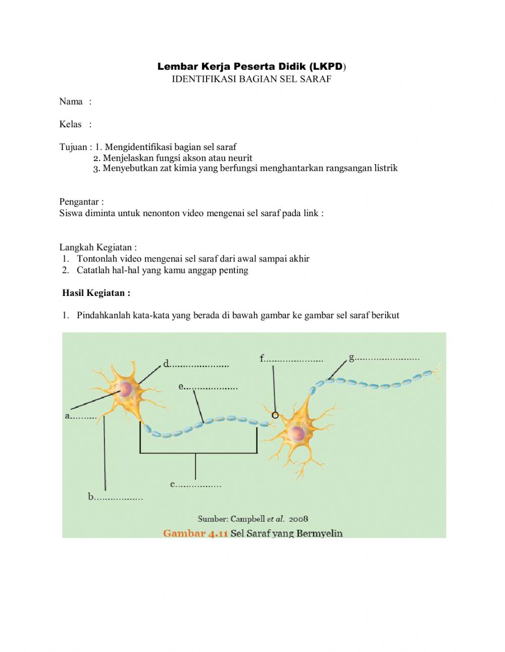 Detail Gambar Sel Saraf Nomer 48