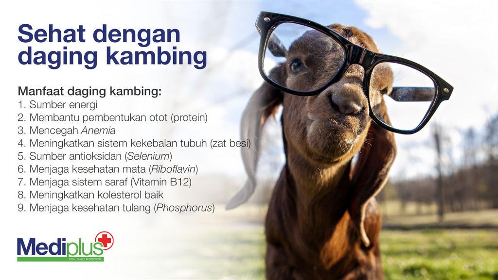 Detail Gambar Sel Saraf Kambing Nomer 33