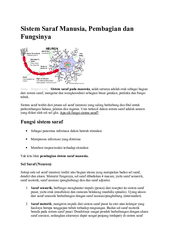 Detail Gambar Sel Saraf Sensorik Nomer 36
