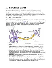 Detail Gambar Sel Saraf Sensorik Nomer 40