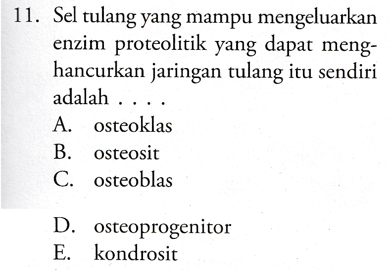 Detail Gambar Sel Tulang Nomer 48