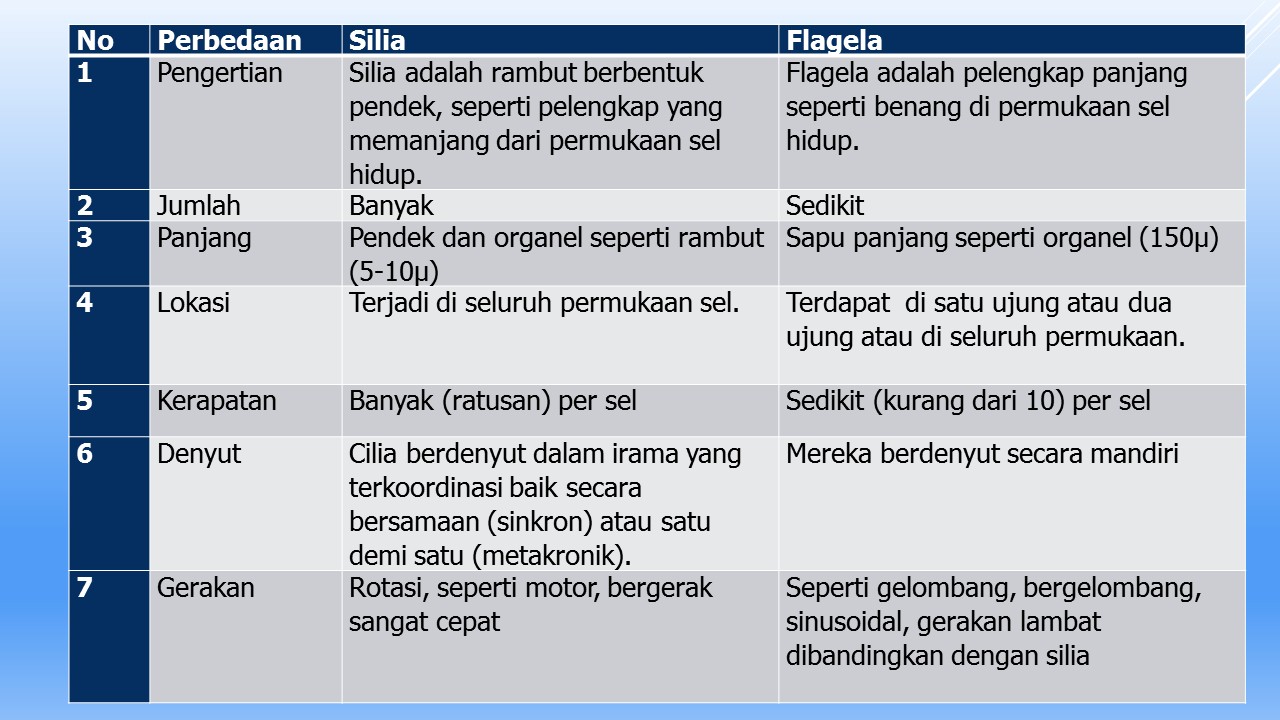 Detail Gambar Sel Tumbuhan Gambar Flagelea Nomer 42