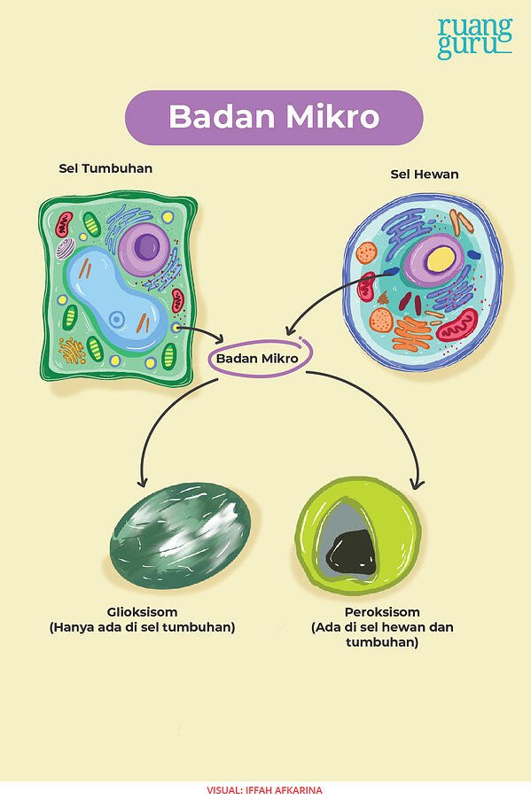 Detail Gambar Sel Tumbuhan Gambar Sitoplasma Nomer 22