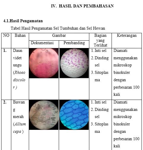 Detail Gambar Sel Tumbuhan Pada Mikroskop Koleksi Nomer 6