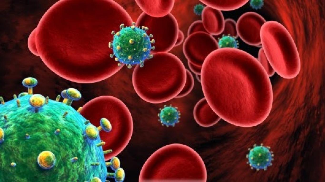 Detail Gambar Sel Yang Terinfeksi Hiv Nomer 18