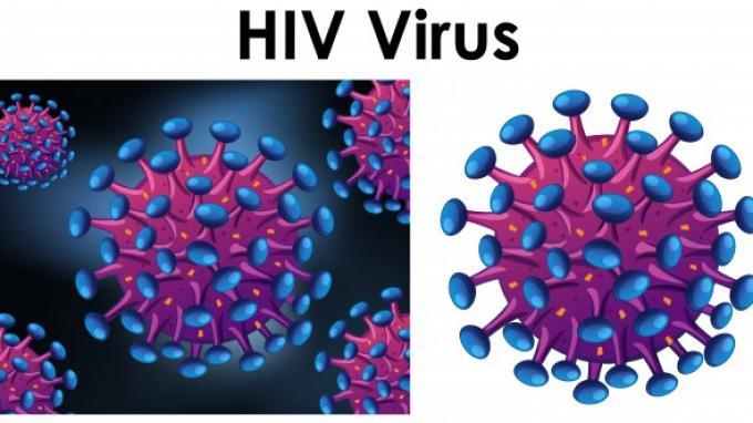 Detail Gambar Sel Yang Terinfeksi Hiv Nomer 2