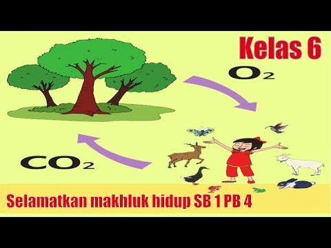 Detail Gambar Selamatkan Makhluk Hidup Nomer 33