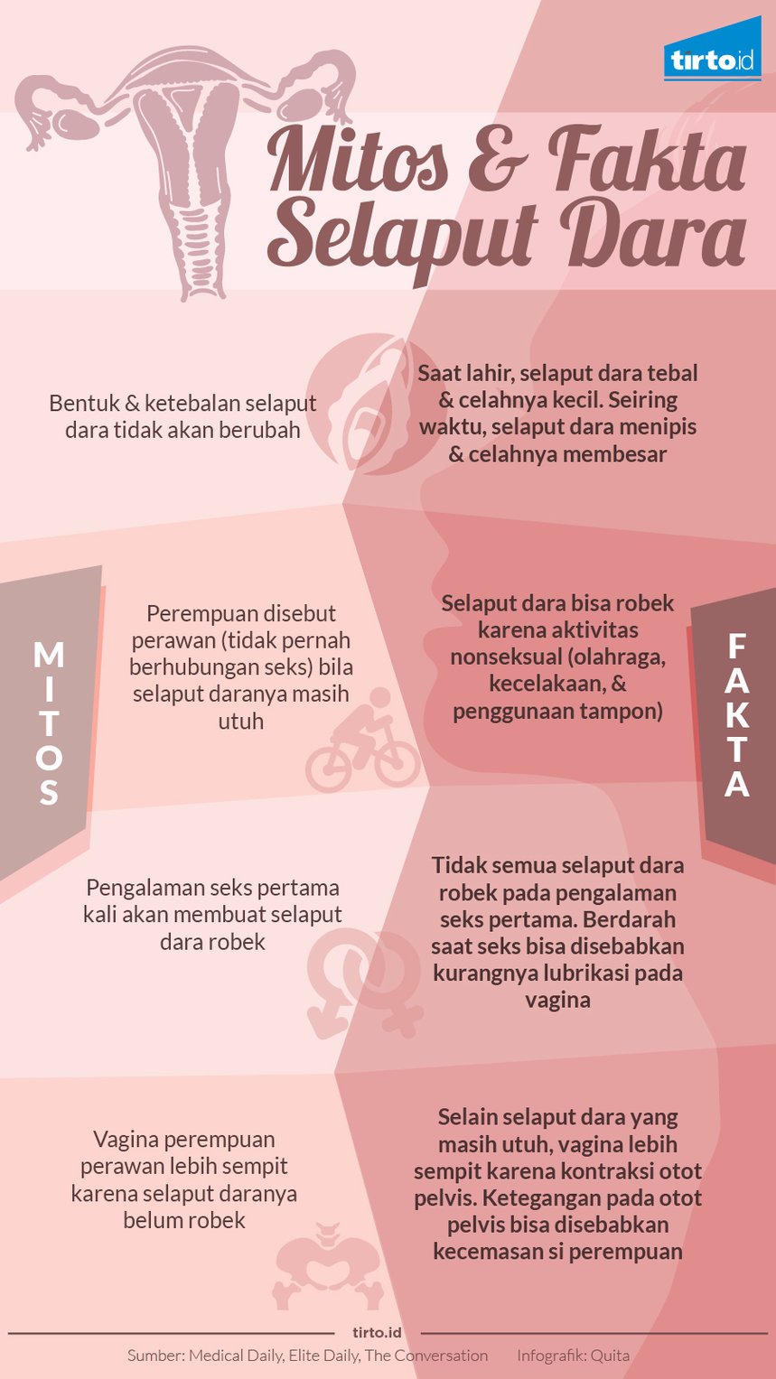 Detail Gambar Selaput Dara Nomer 14