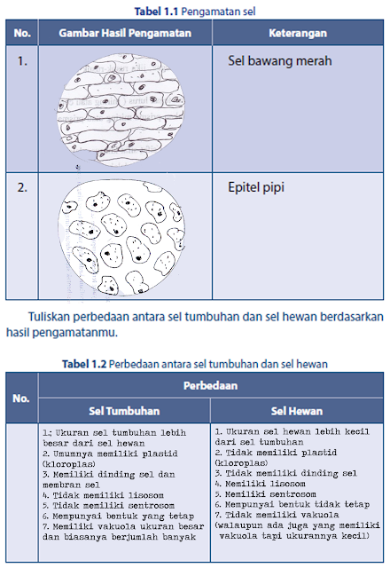 Detail Gambar Selo Epitel Pipi Nomer 38