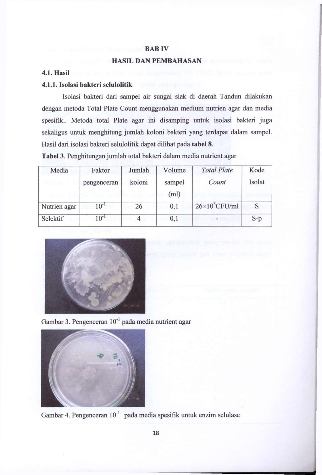 Detail Gambar Selulolitik Amilolitik Dan Proteolitik Nomer 3