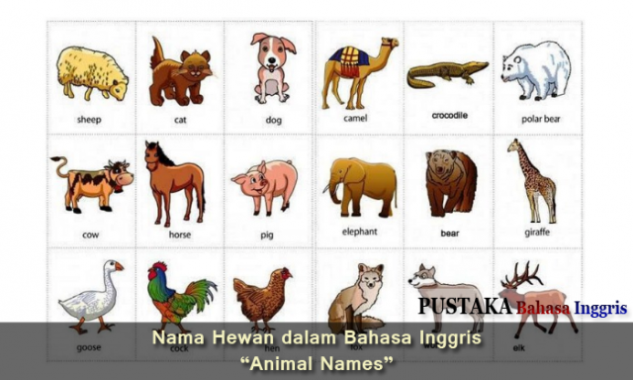 Detail Gambar Semua Binatang Dan Namanya Nomer 9
