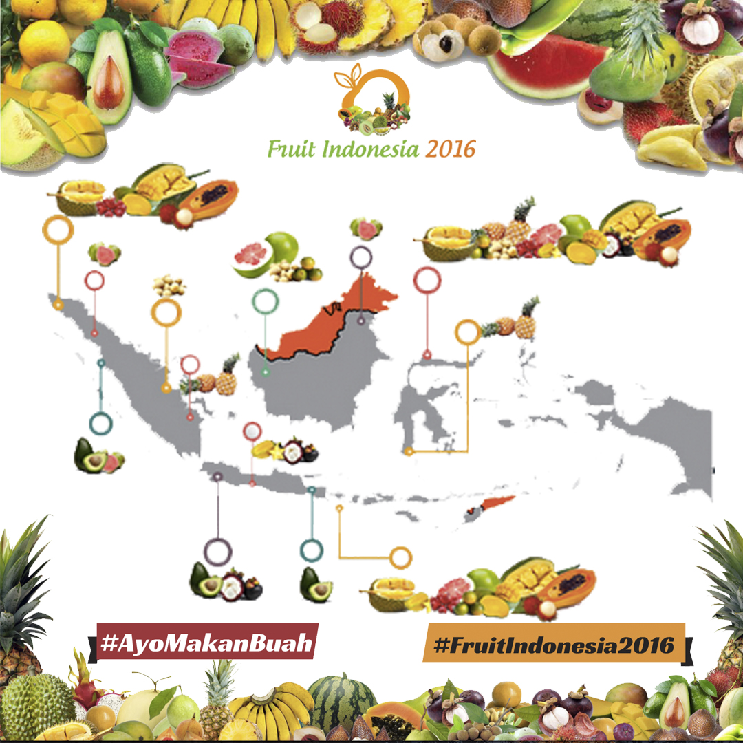 Detail Gambar Semua Buah Buahan Nomer 27