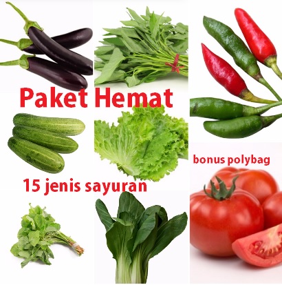 Detail Gambar Semua Jenis Sayuran Nomer 11