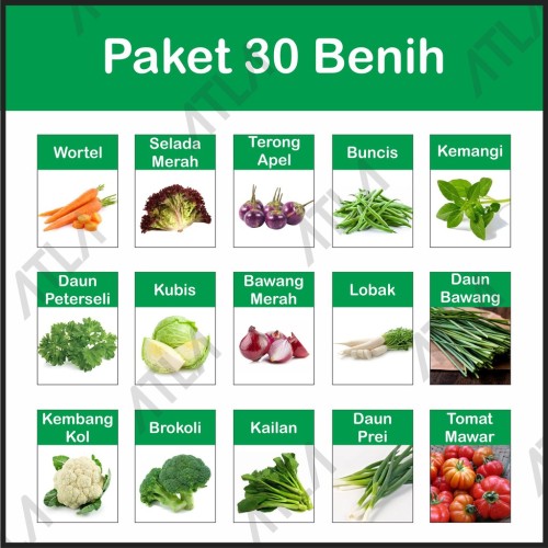 Detail Gambar Semua Jenis Sayuran Nomer 18