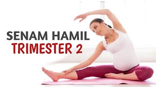 Detail Gambar Senam Ibu Hamil Trimester 2 Nomer 9