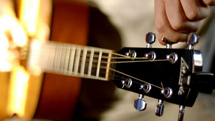 Detail Gambar Senar Gitar Nomer 37