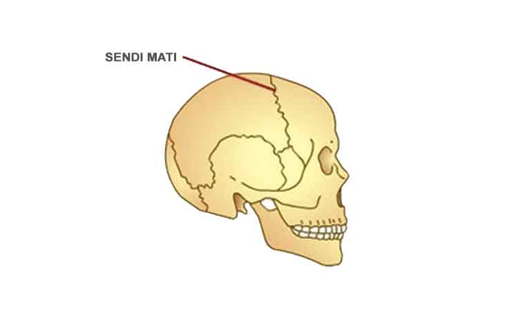 Gambar Sendi Mati - KibrisPDR