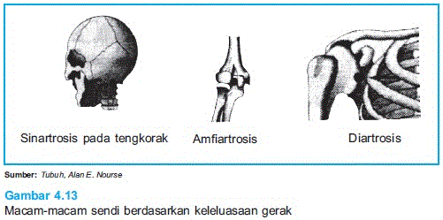 Detail Gambar Sendi Mati Nomer 15