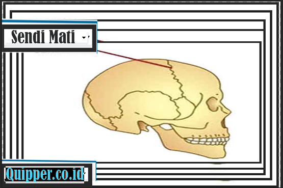 Detail Gambar Sendi Mati Nomer 21