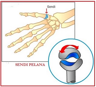 Detail Gambar Sendi Mati Nomer 22