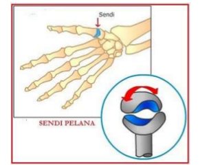 Detail Gambar Sendi Mati Nomer 26