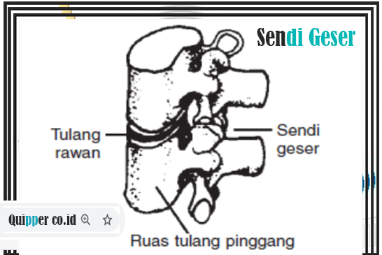 Detail Gambar Sendi Mati Nomer 27