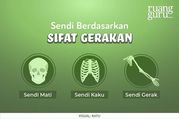 Detail Gambar Sendi Mati Nomer 4