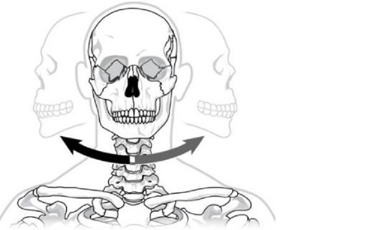 Detail Gambar Sendi Mati Nomer 33