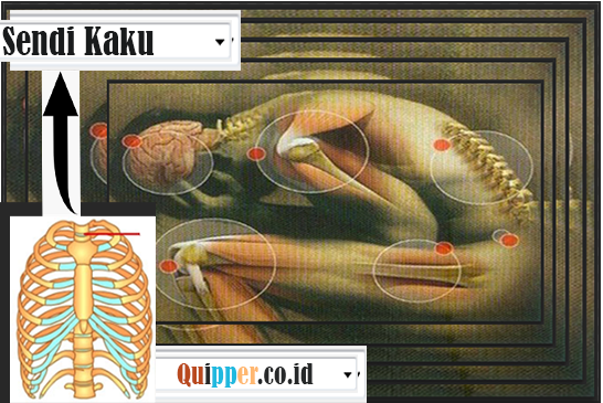 Detail Gambar Sendi Mati Nomer 43