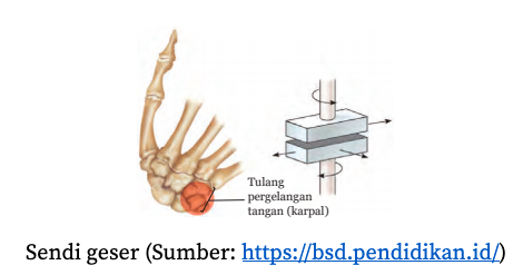 Detail Gambar Sendi Mati Nomer 47