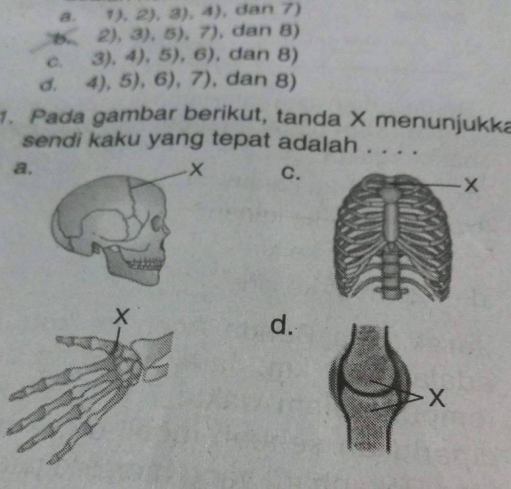 Detail Gambar Sendi Mati Nomer 57