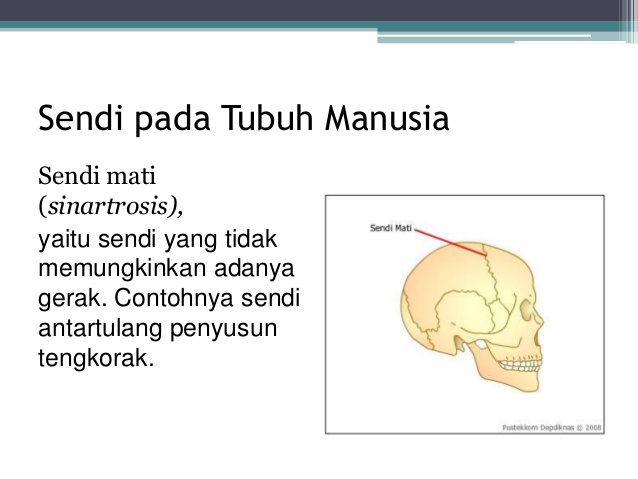 Detail Gambar Sendi Mati Nomer 10