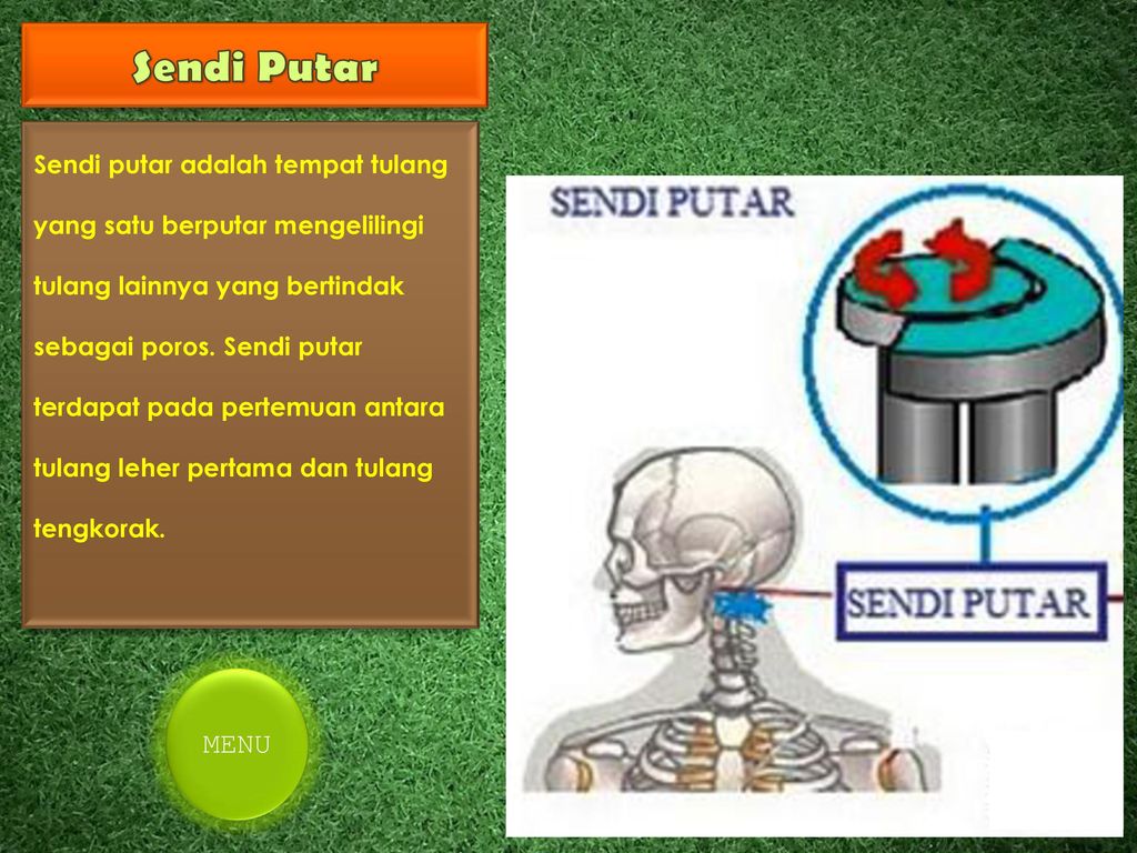 Detail Gambar Sendi Pada Leher Nomer 27