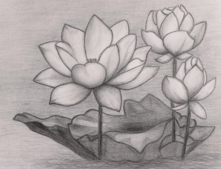 Detail Gambar Seni Lukis Bunga Yang Gampang Nomer 10