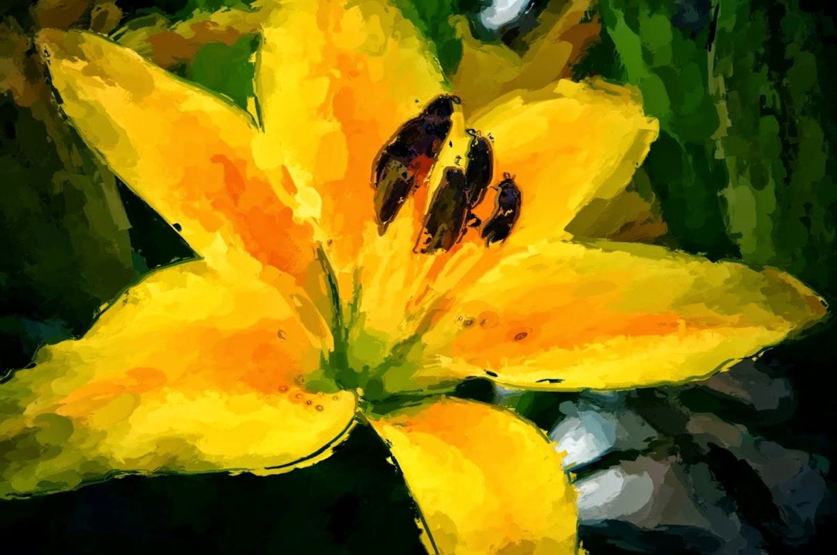 Detail Gambar Seni Rupa Bunga Nomer 22